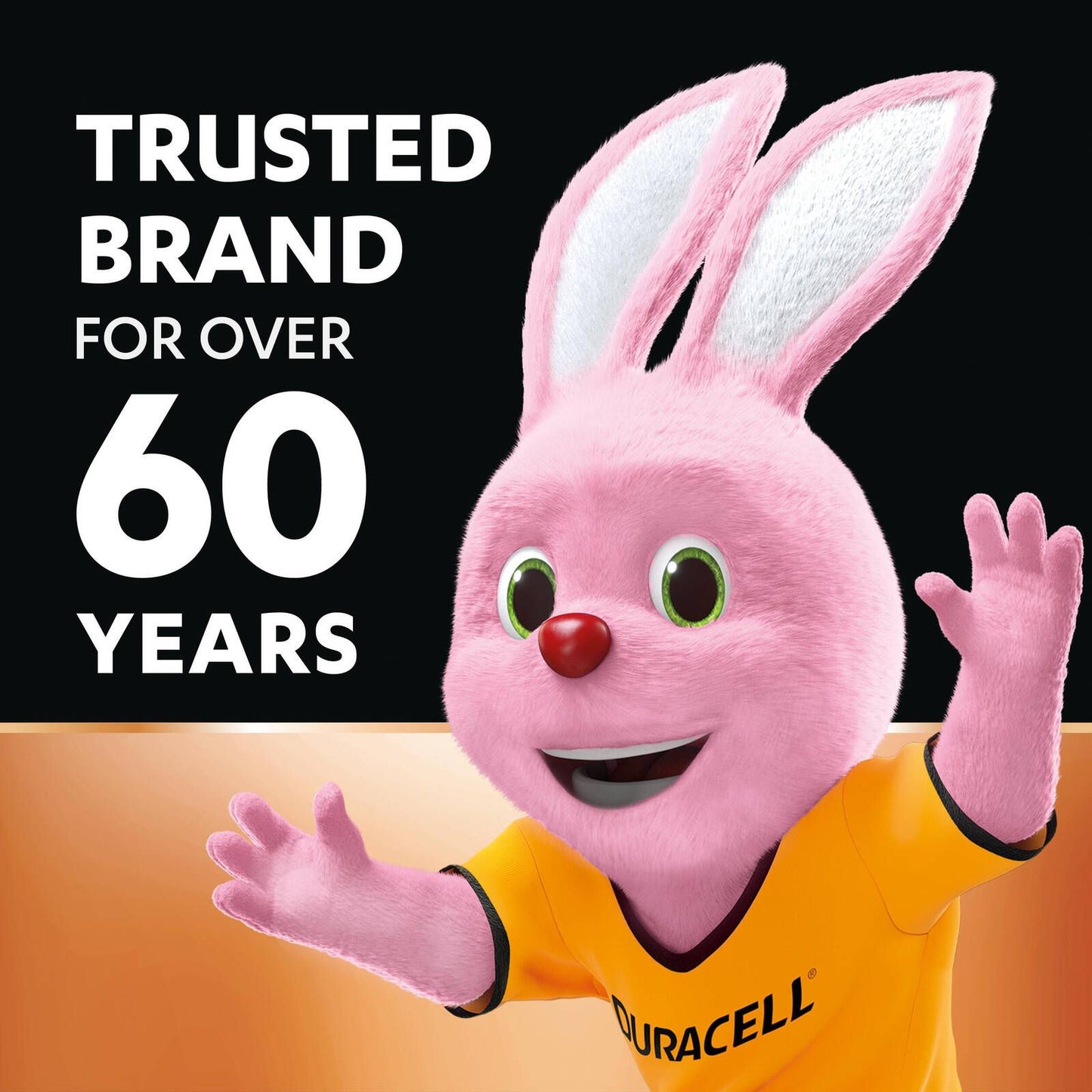 Duracell Everyday Alkaline AAA Batteries - 18 Pack