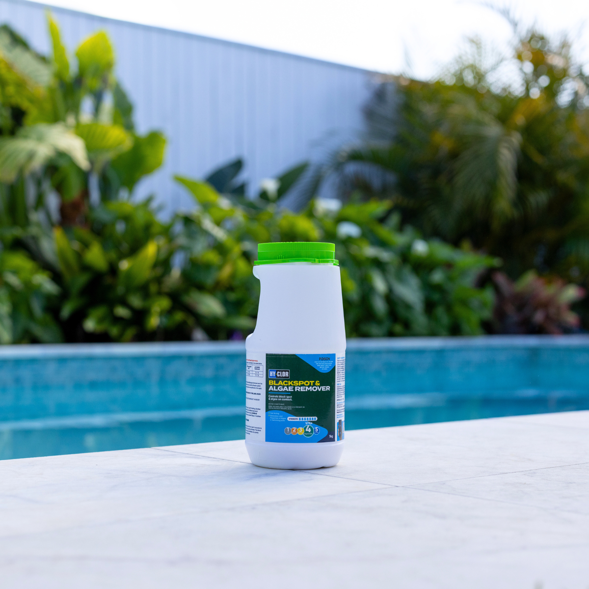 Hy-Clor 1kg Pool Blackspot And Algae Remover - Trichloroisocyanuric Acid - Effective Treatment