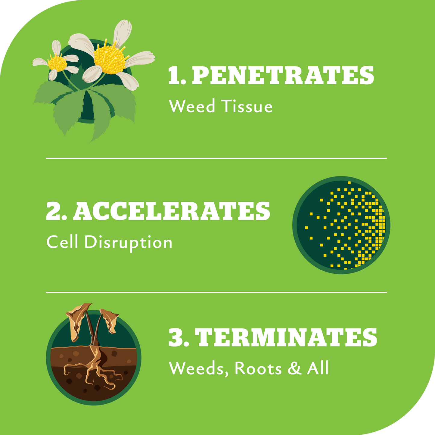Yates Zero Ready to Use Triple Strike Garden Weedkiller - 1L