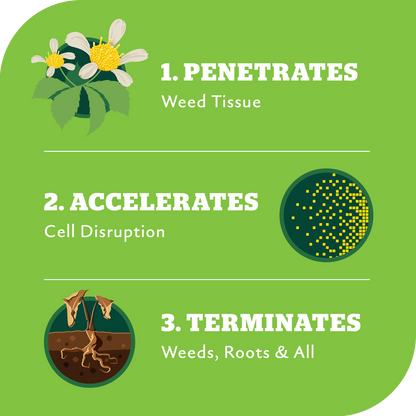 Yates Zero Ready to Use Triple Strike Garden Weedkiller - 1L