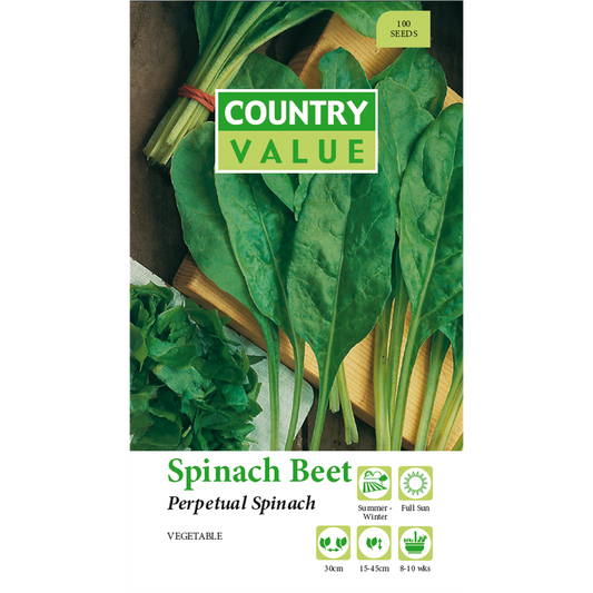 Country Value Perpetual Beet Spinach Seeds - 75mm