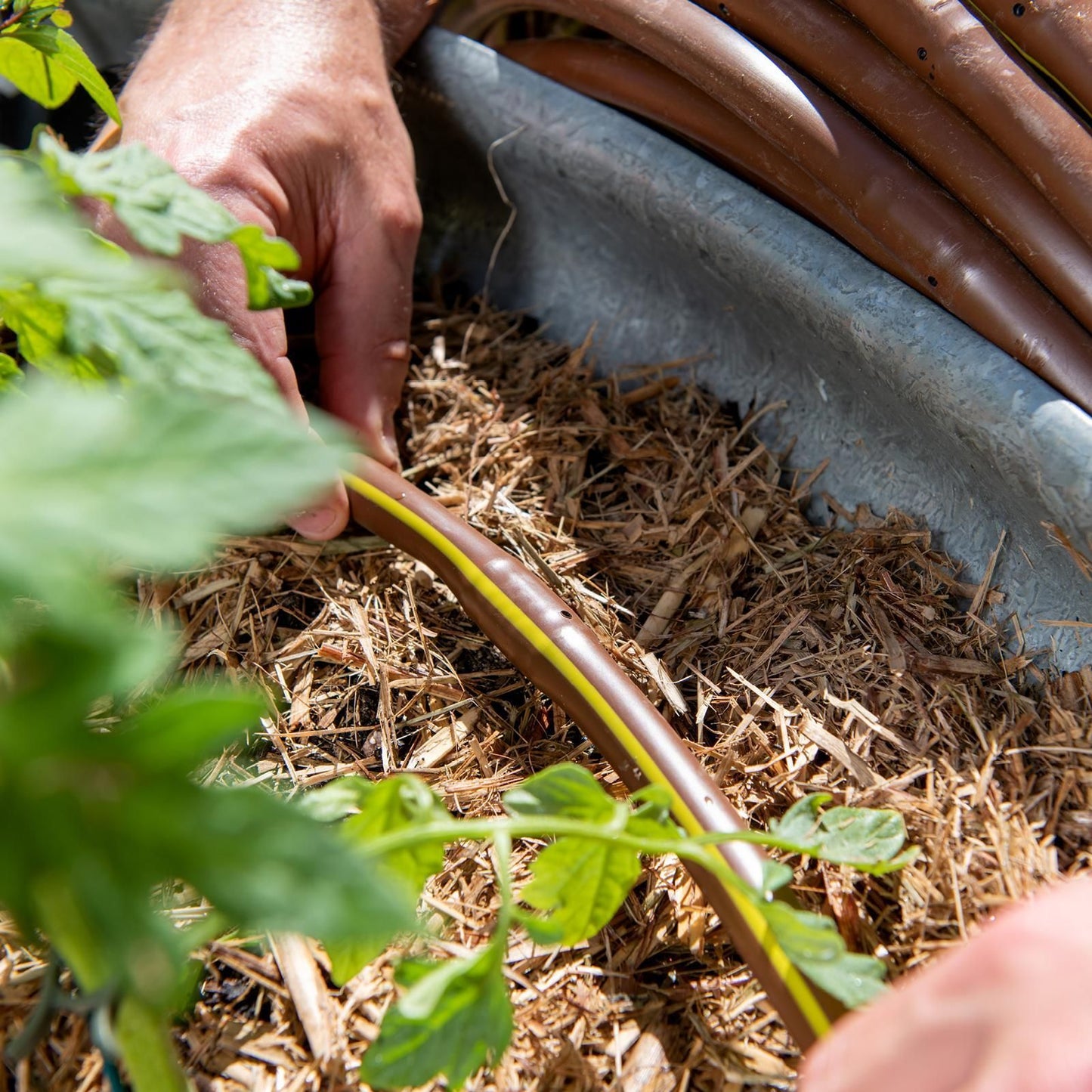 Pope Drip Eze Drip Irrigation Tube - 13mm x 50m - Brown