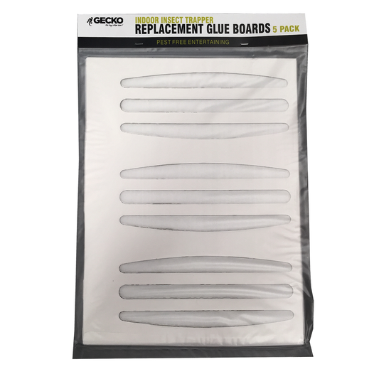 Gecko Sticky Glue Insect Trapper - 5 Pack