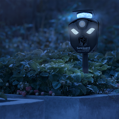 Sureguard Scarecrow 360 Degree Motion Activated Ultrasonic Animal Repellent