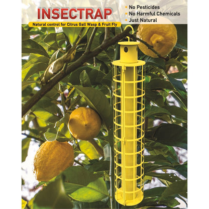 Go Natural Insect Trap - 270mm - Non-Toxic - Pest Control