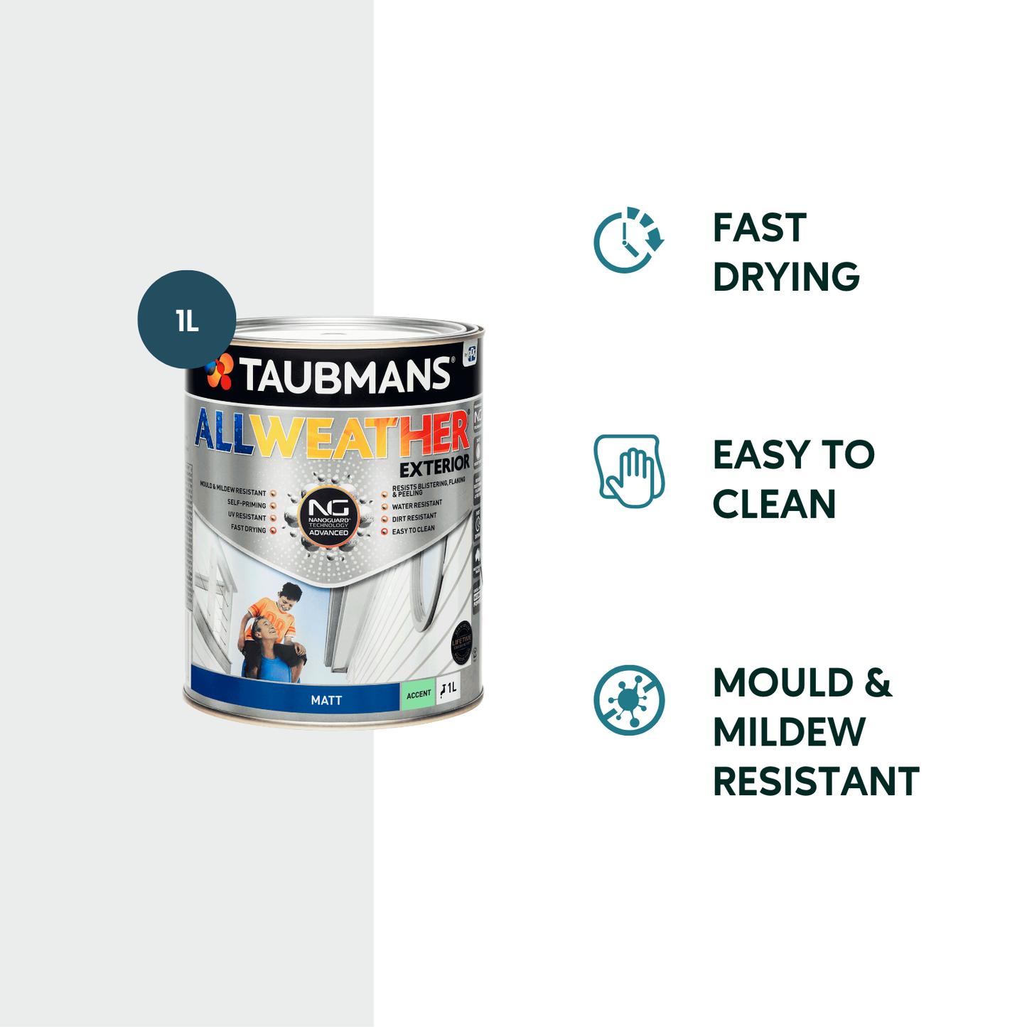 Taubmans All Weather Exterior Paint - 1L - Accent - Matt