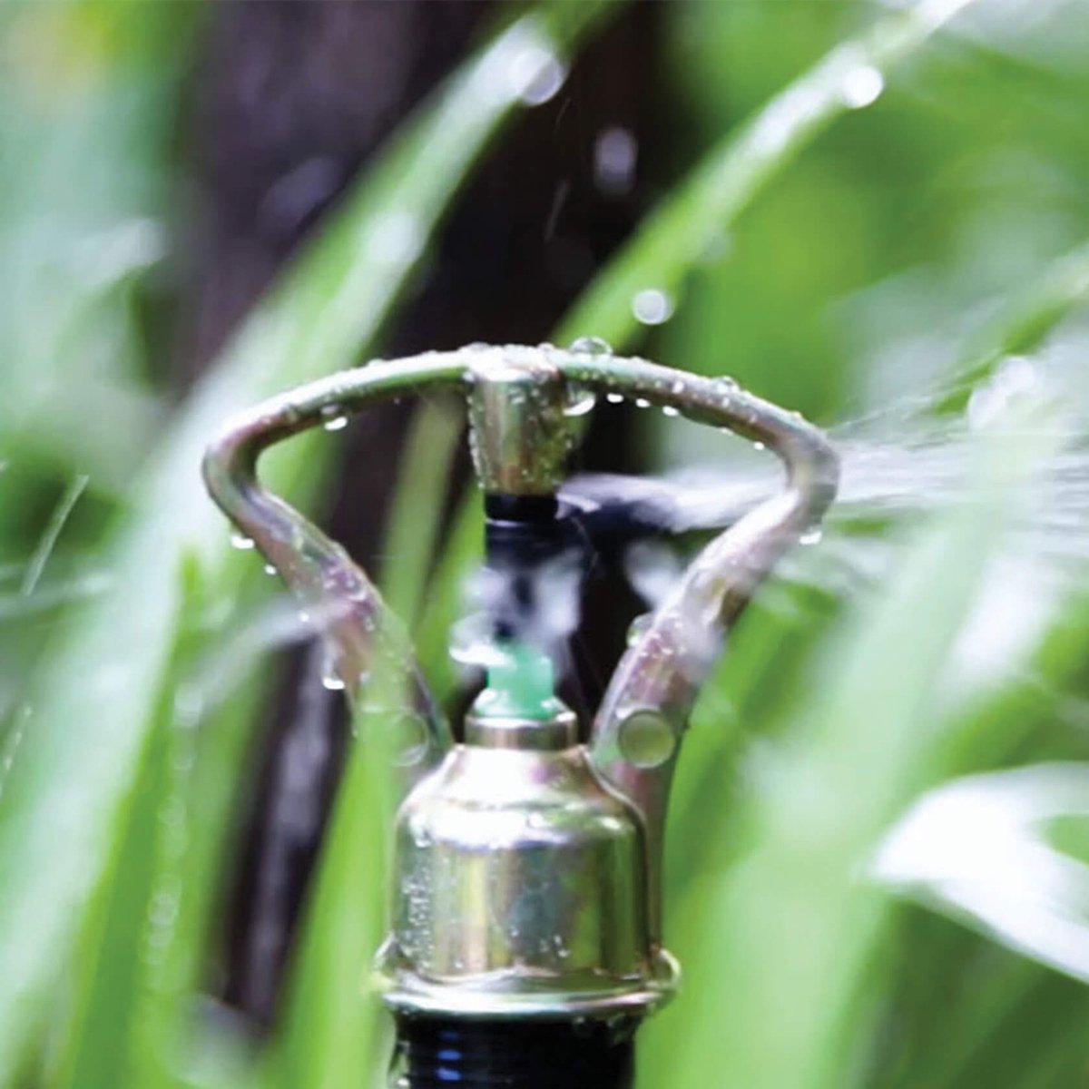 Holman Brass Butterfly Sprinkler - 4-6m - Brass - Full Circle Coverage