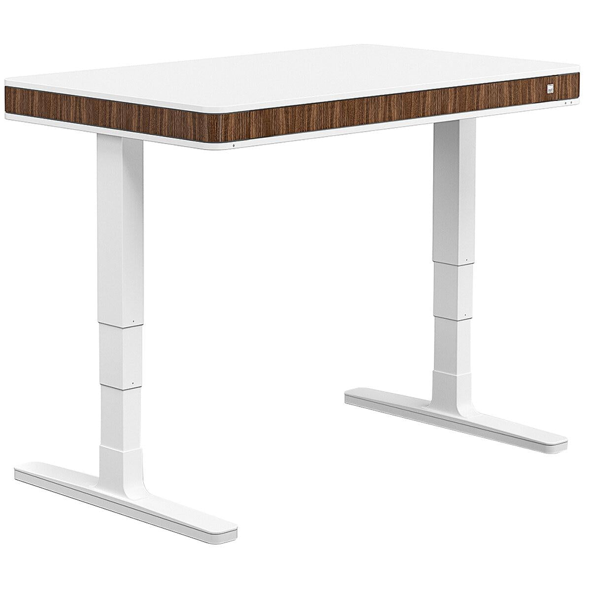 moll T7 Walnut Sit and Stand Desk White and Walnut